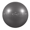 GoFit 1200lb Professional Burst Resistant Core Stability Ball 75cm Gray