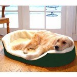 Majestic Pet Products Lounger Pet Bed Extra Large 43x28, Green