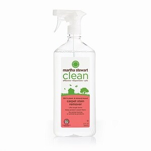 Martha Stewart Clean Carpet Spot Cleaner