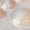 Beige Pearl 7041