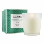 Caldrea Fragrance Candle, Palmarosa Wild Mint