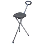 Travel Seat + Cane wag-Travel Seat + Cane
