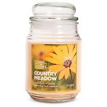 Patriot Candles Day's End Jar Candle Day's End Yellow