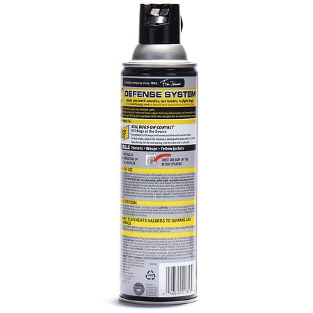 Raid Wasp Hornet Killer Walgreens