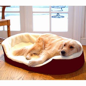 Majestic Pet Products Lounger Pet Bed Large, 36x24 inch Burgundy