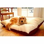 snoopy dog bed walgreens