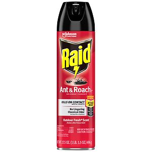 Raid Ant & Roach Killer Aerosol Outdoor Fresh