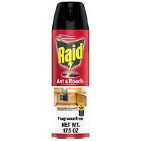 Deals List: Raid Ant & Roach Killer Aerosol 17.5 oz