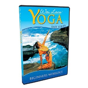 Wai Lana Beginners Workout DVD
