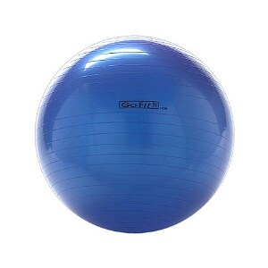 GoFit 75cm Exercise Ball Blue
