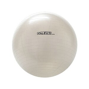 GoFit 65cm Exercise Ball