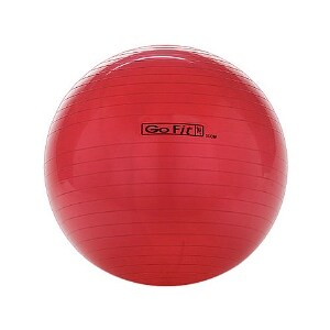 GoFit 55cm Exercise Ball
