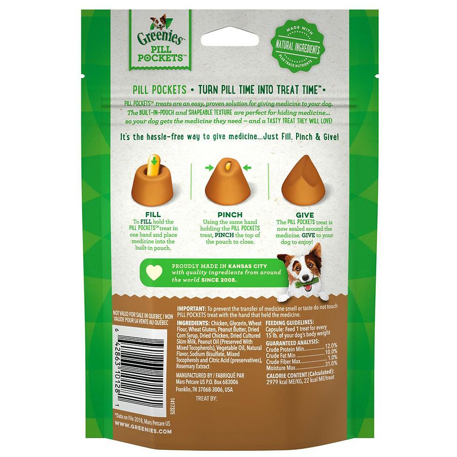 black and white german wirehaired pointer