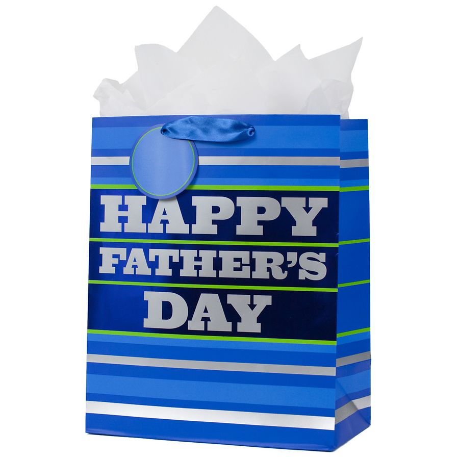 Hallmark Large Father's Day Gift Bag with Tissue Paper Blue Stripes