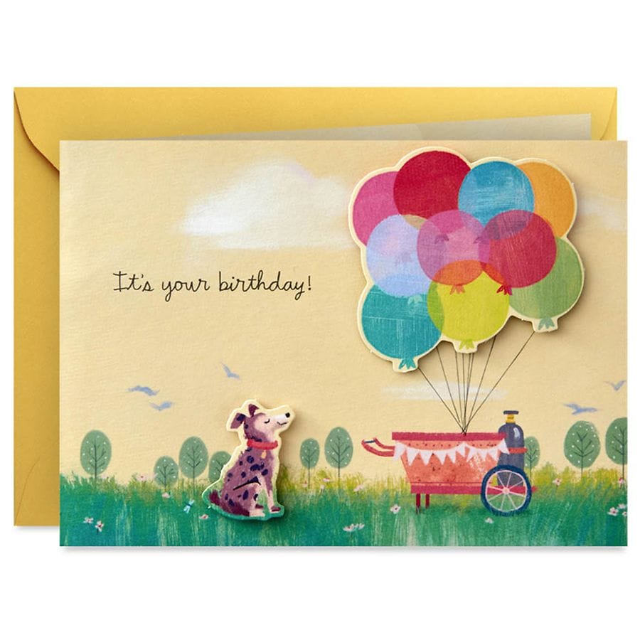 Hallmark Signature Paper Wonder Pop Up Birthday Card Happy Birthday 