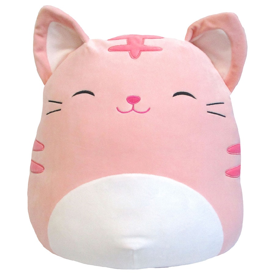 Squishmallows Pink And Purple Cat Name