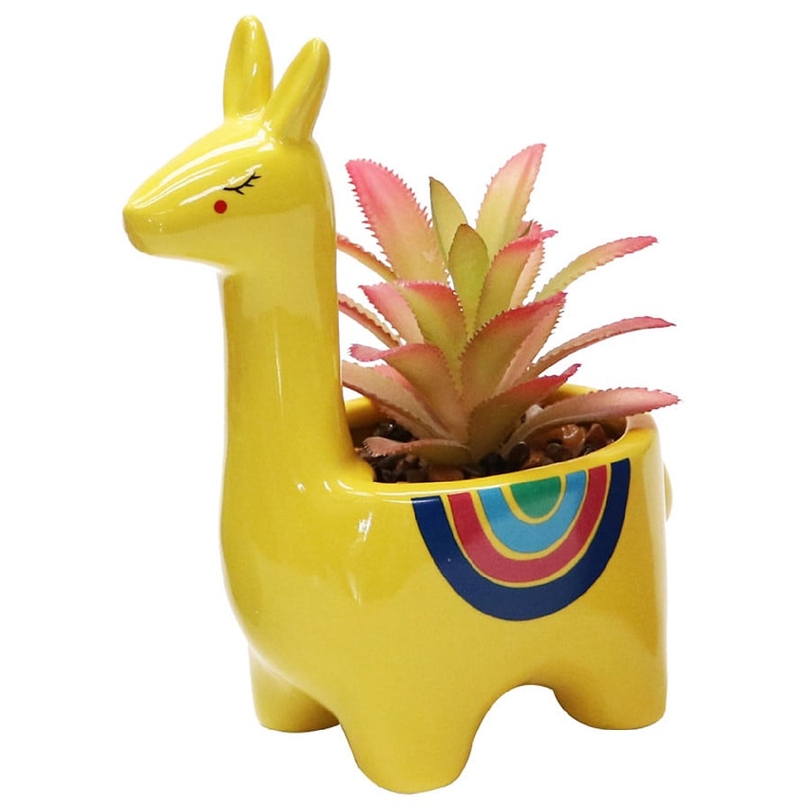 Garden Party Llama Pot Succulent Walgreens