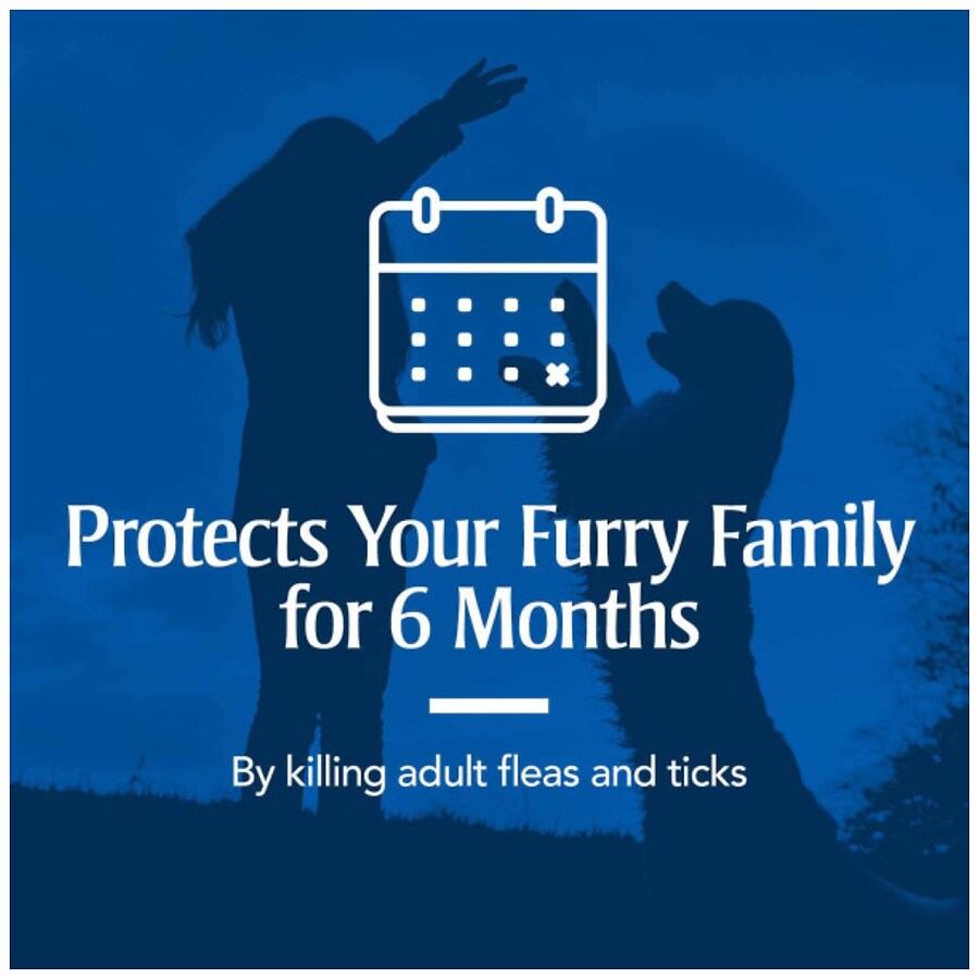 flea collar walgreens