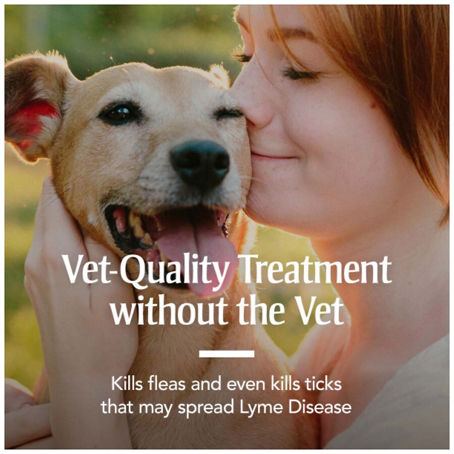 flea collar walgreens