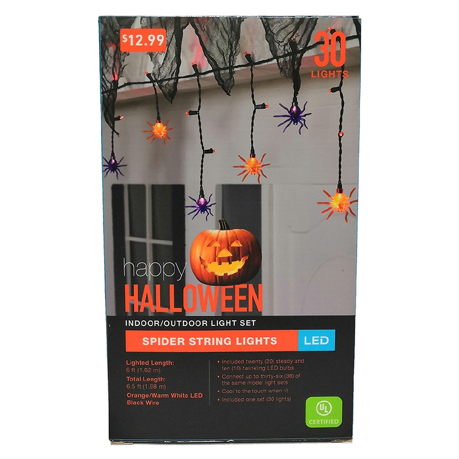 Walgreens Spider String Light Set