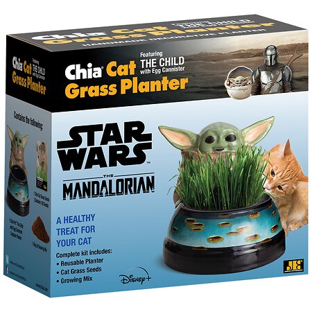 Chia Pet Cat Grass Child