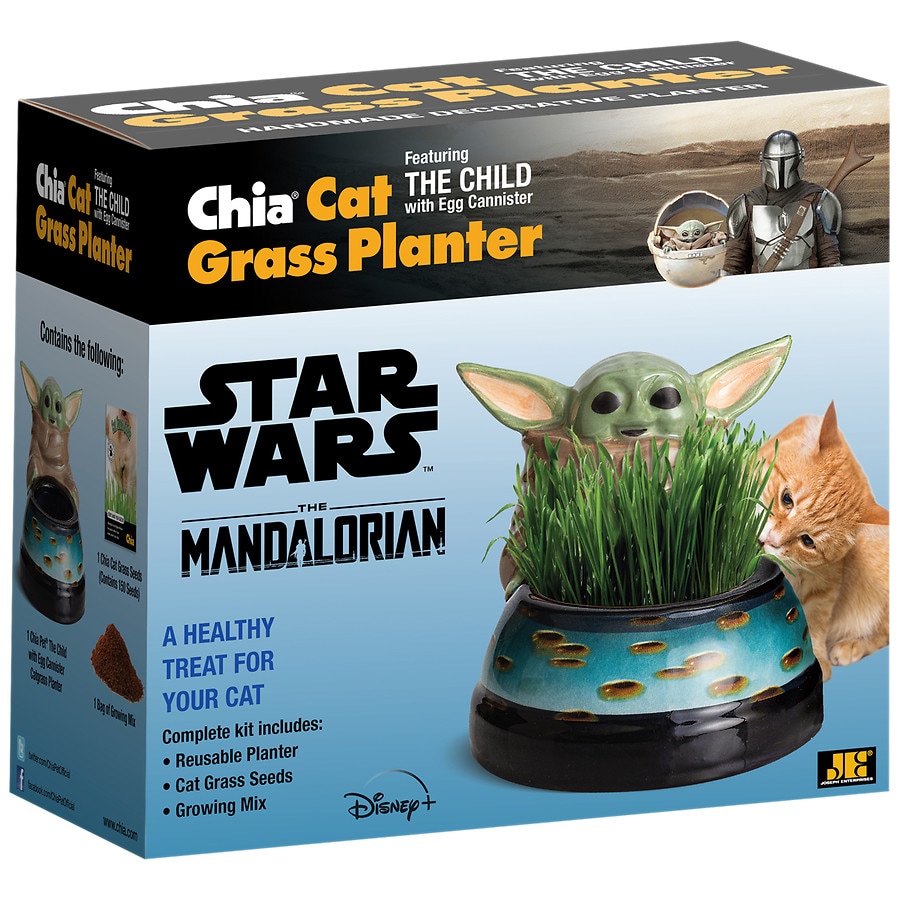 walgreens cat toys