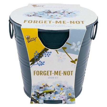 Buzzy Painted Pail Grow Kit - Forget-Me-Not Teal