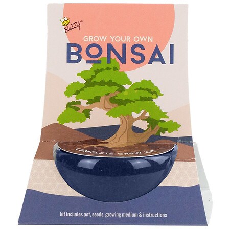 Buzzy Bonsai Ceramic Grow Kit Blue