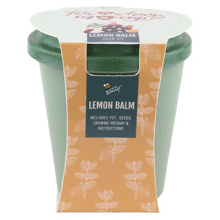 Buzzy Tea Grow Kit - Lemon Balm Green