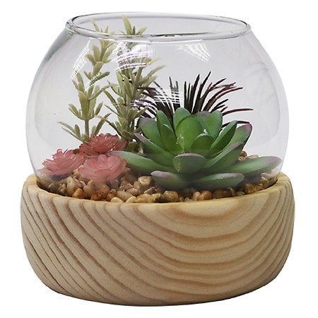 Modern Expressions Wood Stand Succulent