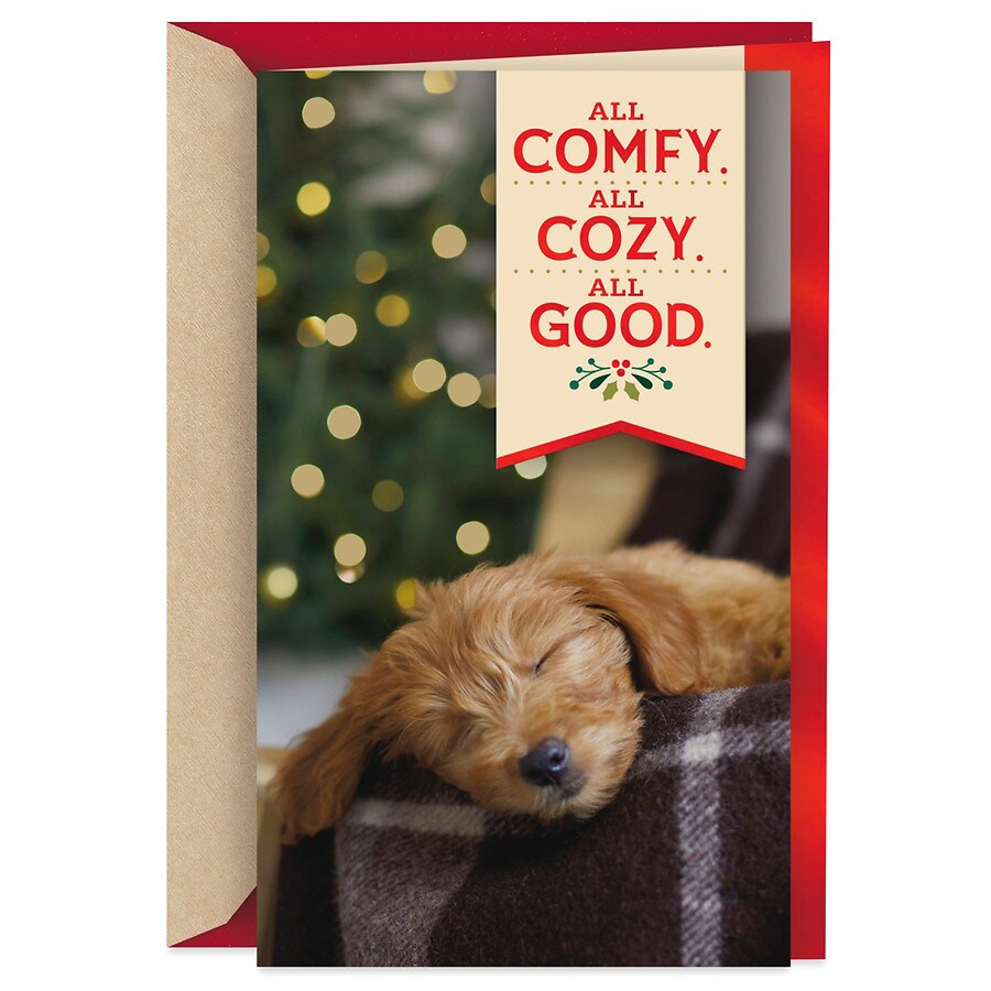 Hallmark Christmas Card (Cute Puppy Dog Comfy and Cozy) S4