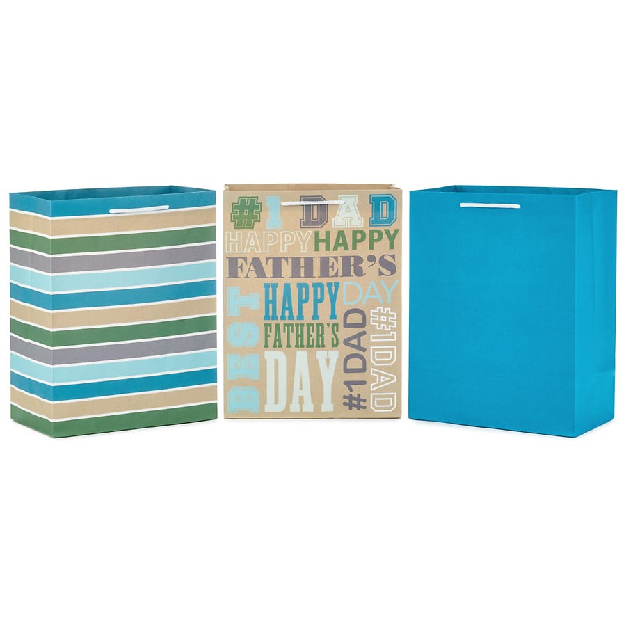 Hallmark Large Father's Day Gift Bags Assortment