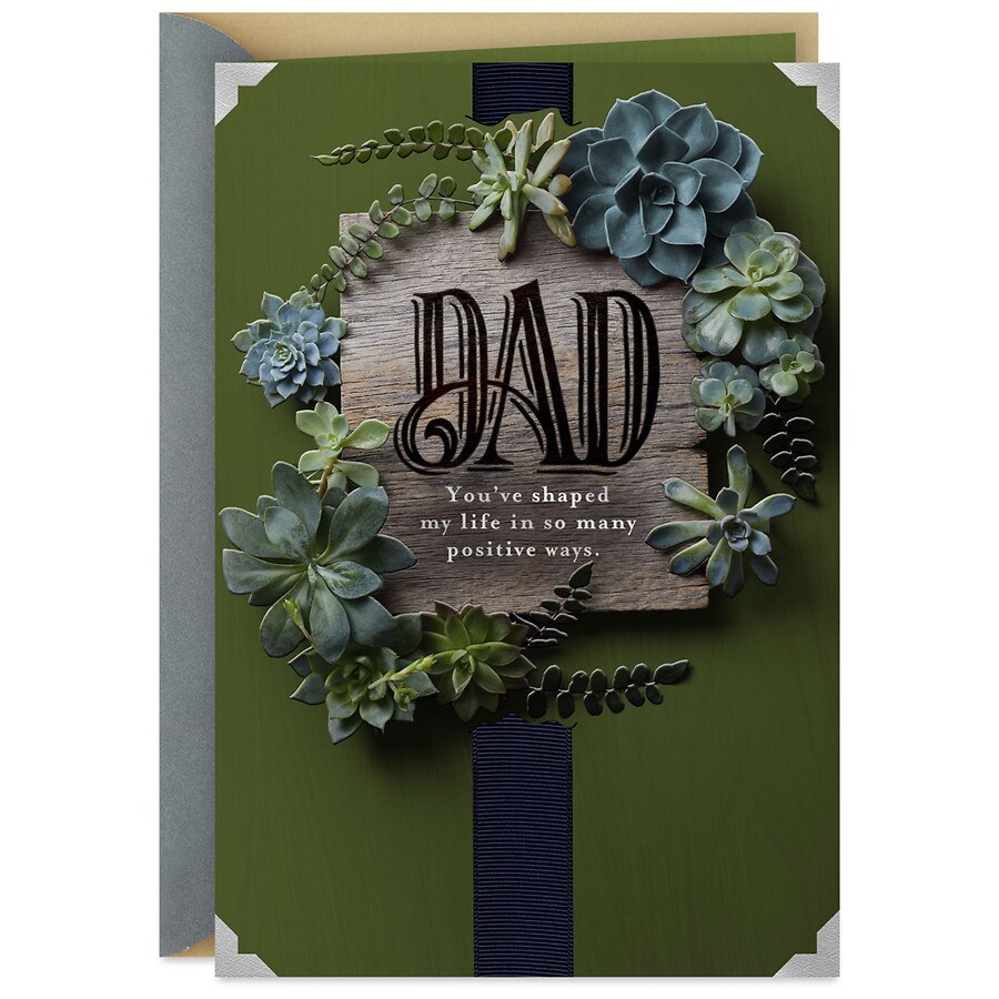 Hallmark Father's Day Card (How Proud I Am Having You for a Dad)(S45)