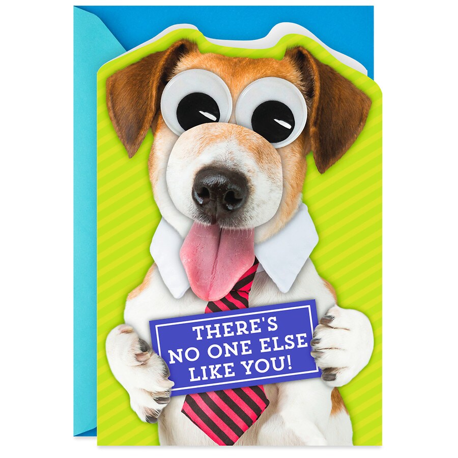 Hallmark Funny Father's Day Card (Dog in Shirt and Tie) (S43)