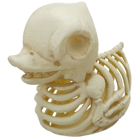 Walgreens Mini Skeleton Duck Bone