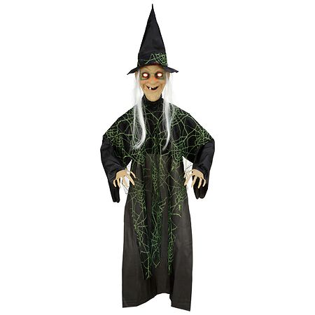 Walgreens 3 Foot Hanging Witch Green
