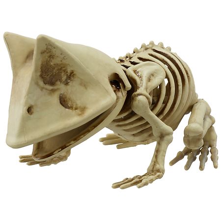 Walgreens Mini Skeleton Frog Bone