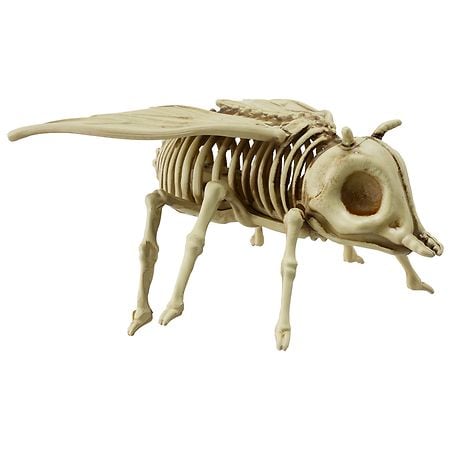 Walgreens Mini Skeleton Insect Bone