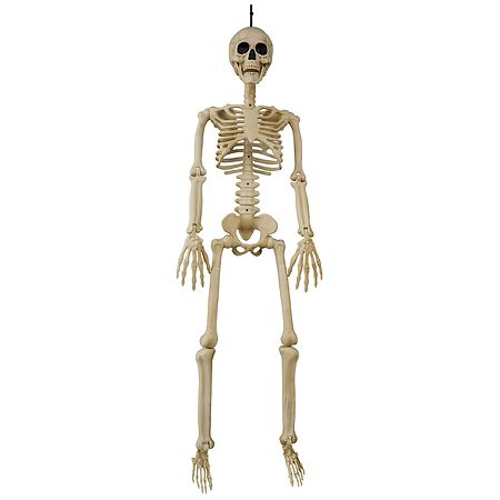 Walgreens 3 Foot Skeleton Bone